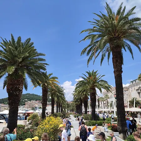 Comfy & Urban On Znjan Near شقة